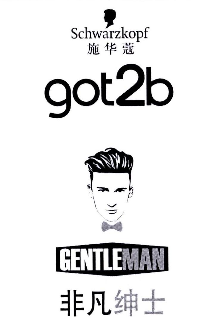 schwarzkopf got2b 施华蔻 gentleman 非凡绅士