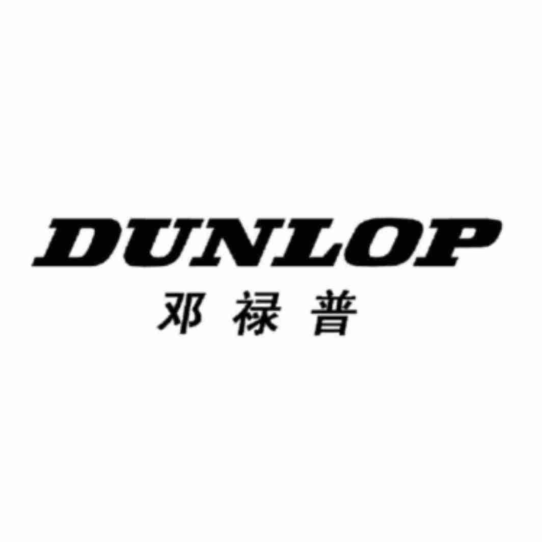 邓禄普 dunlop,34064565,机械设备_商标查询_商标信息查询_免费商标