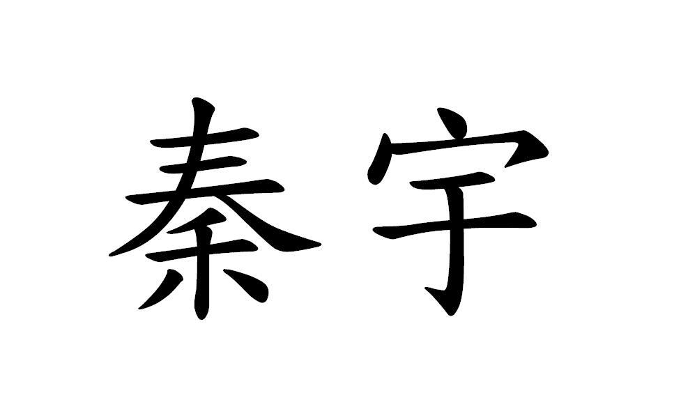 秦宇,21265181,建筑材料_商标查询_商标信息查询_免费商标查询-微猫